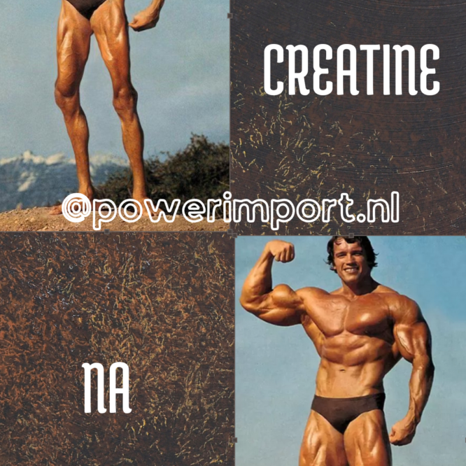 Meme met een schriele versie van Arnold Schwarzenegger met rechts de tekst 'voor creatine'. Daaronder Arnold Schwarzenegger in topconditie met daarnaast de tekst 'na creatine'.