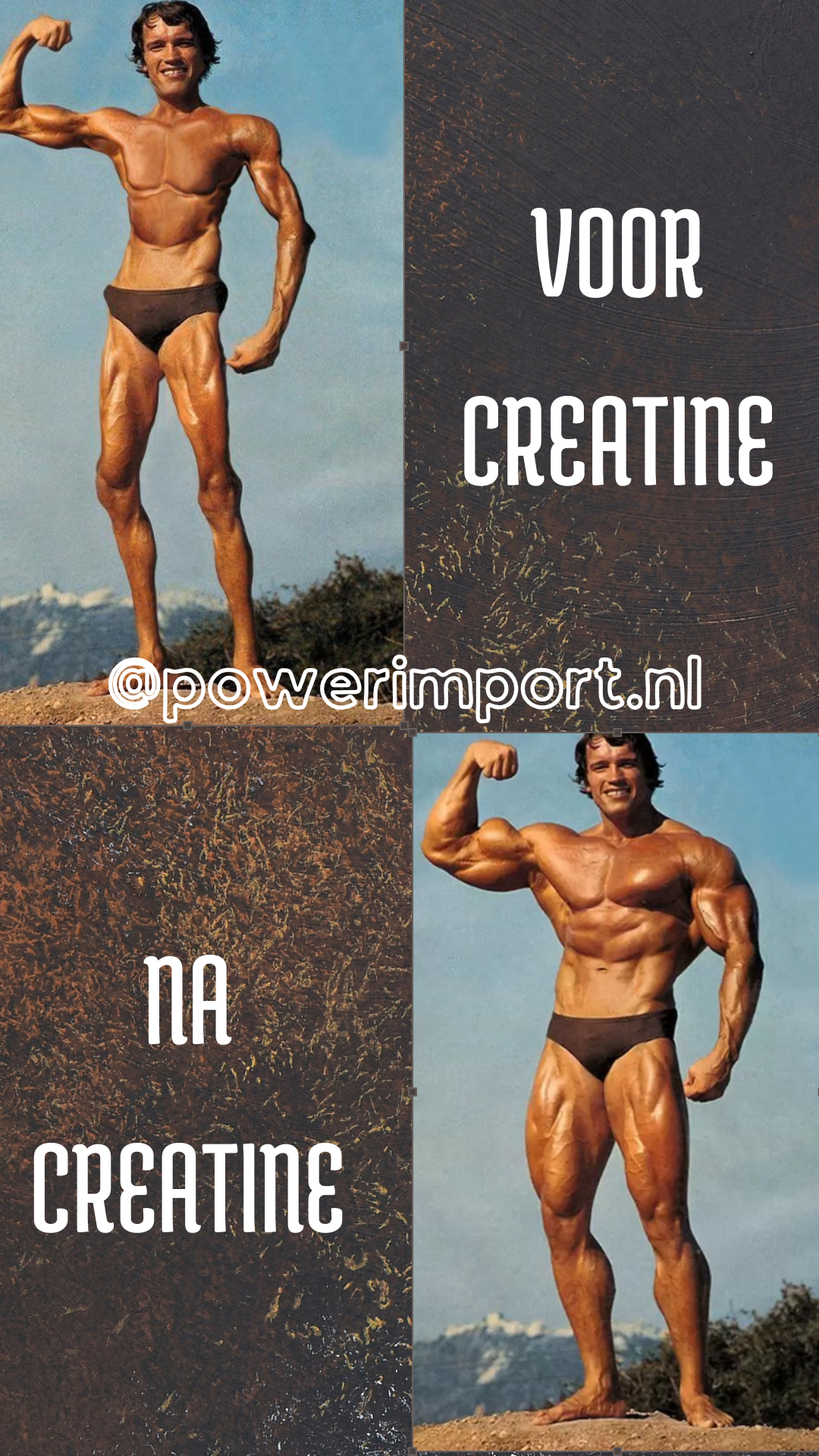 Meme met een schriele versie van Arnold Schwarzenegger met rechts de tekst 'voor creatine'. Daaronder Arnold Schwarzenegger in topconditie met daarnaast de tekst 'na creatine'.